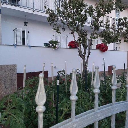 Apartment Bracic Vodice Eksteriør bilde
